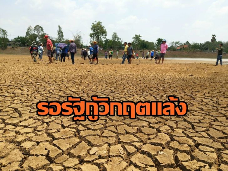 แล้ง5