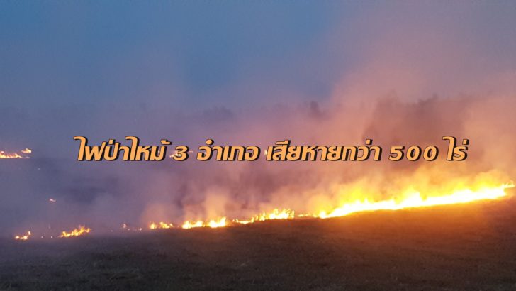 ไฟป่า