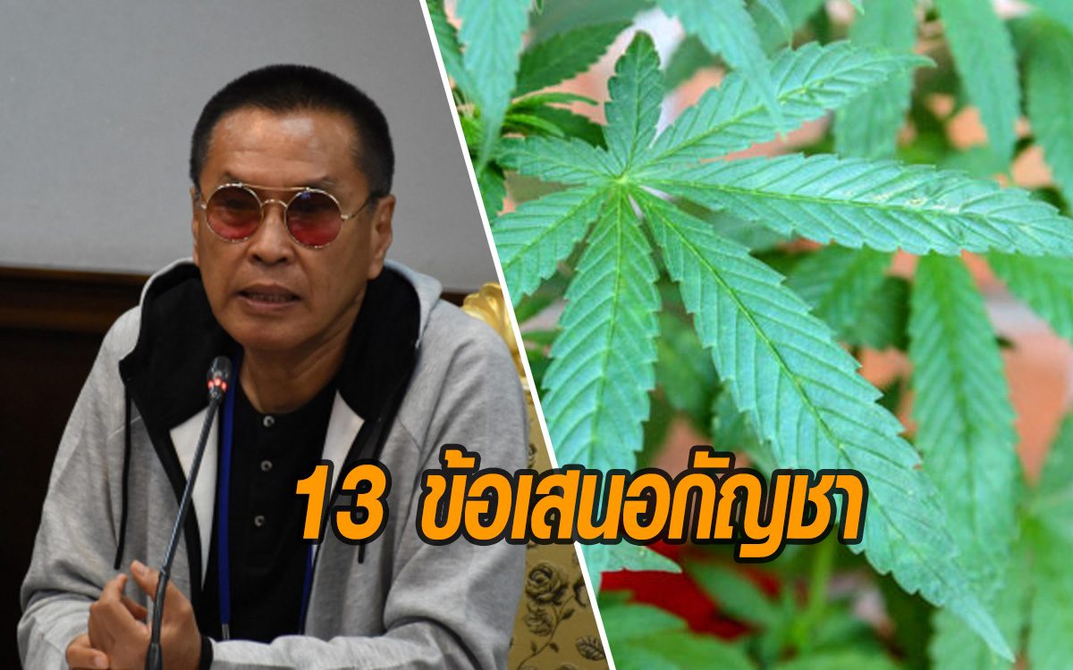 หมอธีระวัฒน์ เสนอ 13 ข้อ 'กัญชา' การครอบครองต้องดูวัตถุประสงค์
