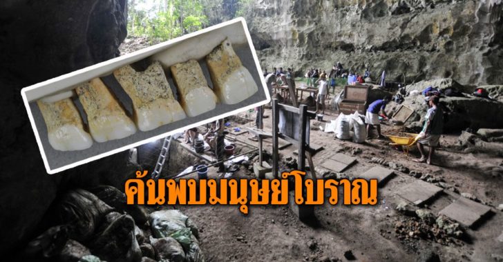 ค้นพบมนุษย์โบราณสายพันธุ์ใหม่