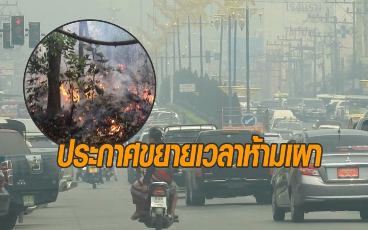ดดด