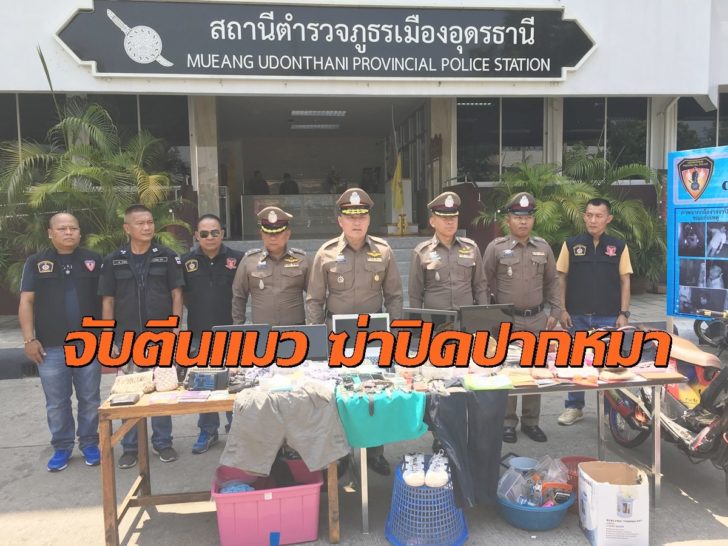 ตีนแมวฆ่าหมา อุดร