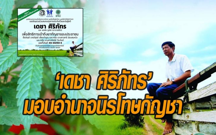 นิรโทษกัญชา