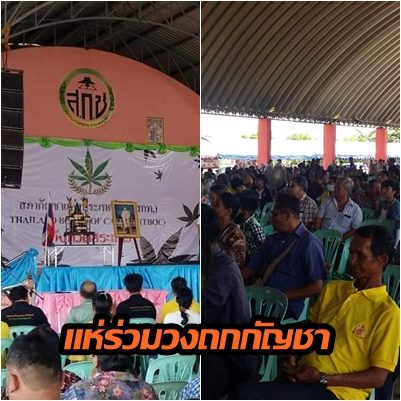 ประชุมกัญชา4