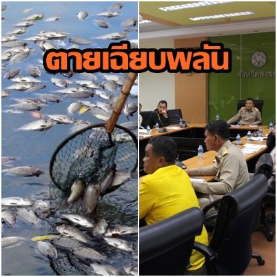 ปลาตาย.3