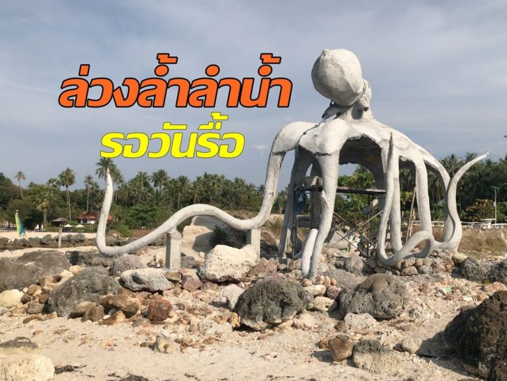 ปลาหมึกยักษ์3