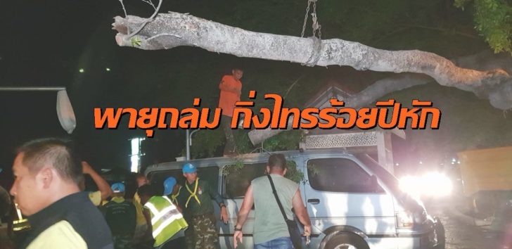 พายุปราจีน ต้นไม้หัก