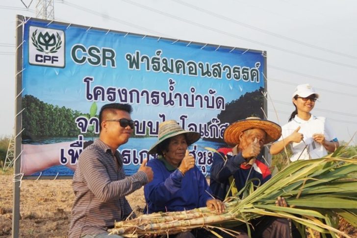 รูป ซีพี ผลิตปุ๋ย