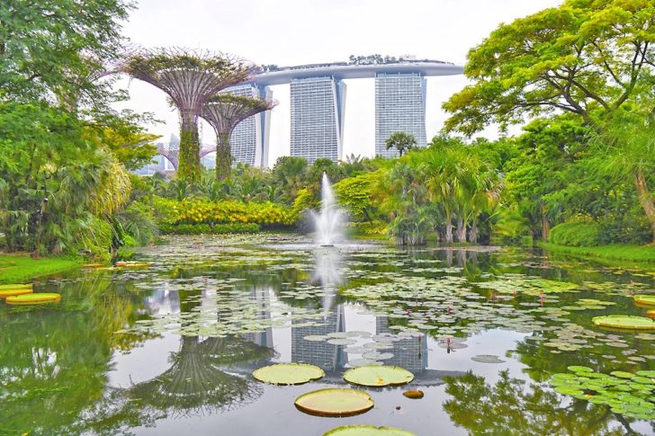 SINGAPORE-LIFESTYLE