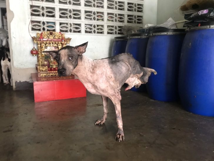 สนบ8899_3
