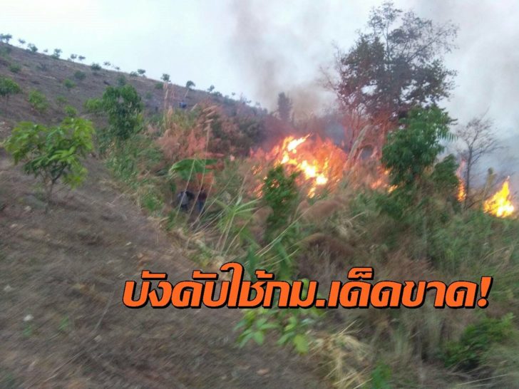 เชียงราย ไฟป่า5
