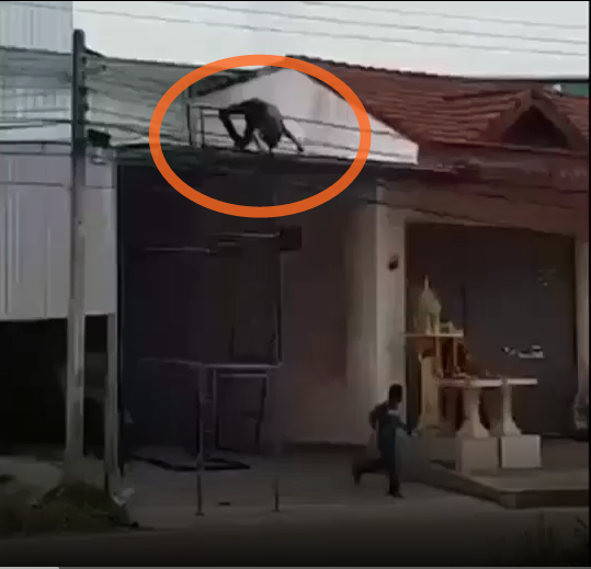 ไฟฟ้าช็อต
