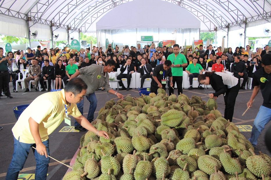 เปิดเทศกาล “ตลาดไท ทุเรียนไทคุณภาพ” เปิดเทศกาล “ตลาดไท ทุเรียนไทคุณภาพ”