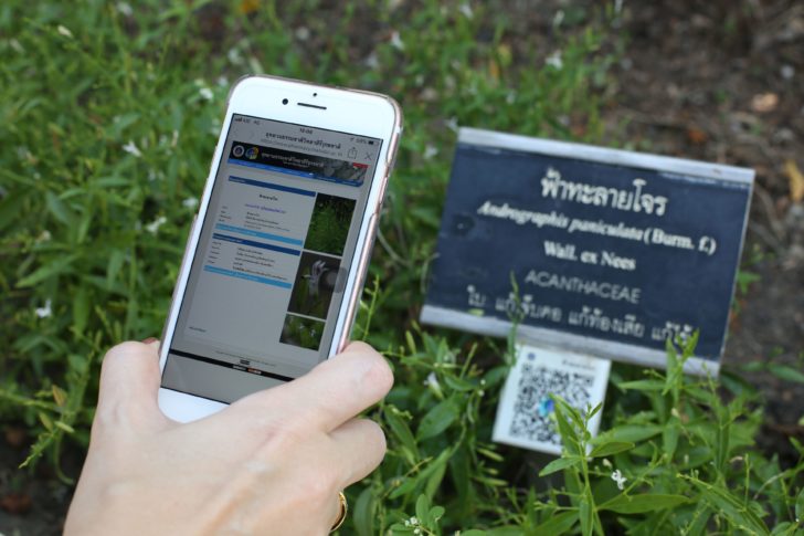 05 สแกน QR Code เพื่อรับข้อมูลสมุนไพรภายในอุทยาน