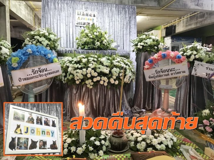 งานศพแมวศุภลักษณ์2