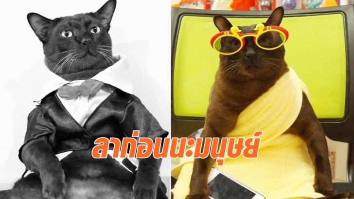 จอนนี่