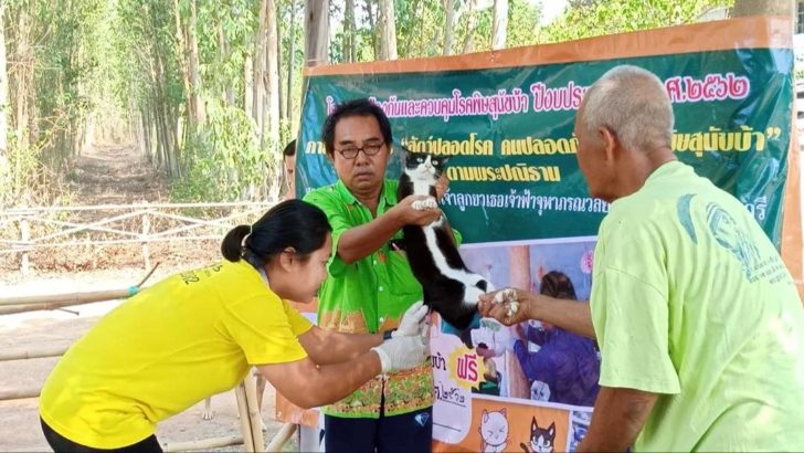 ฉีดยา
