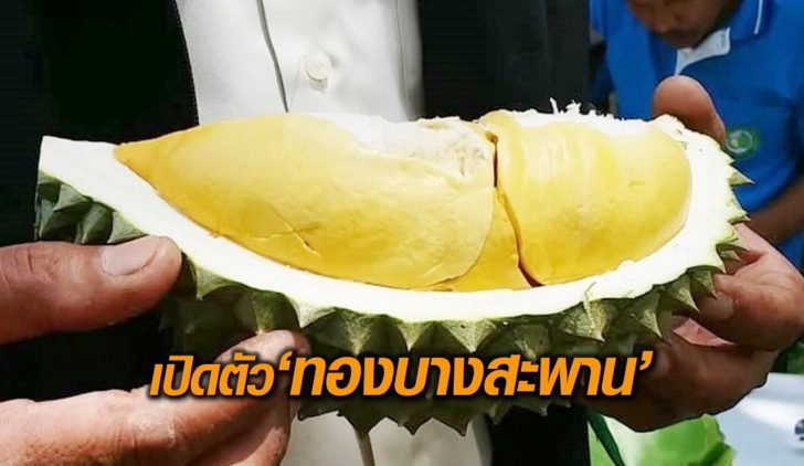 ทองบานสะพาน