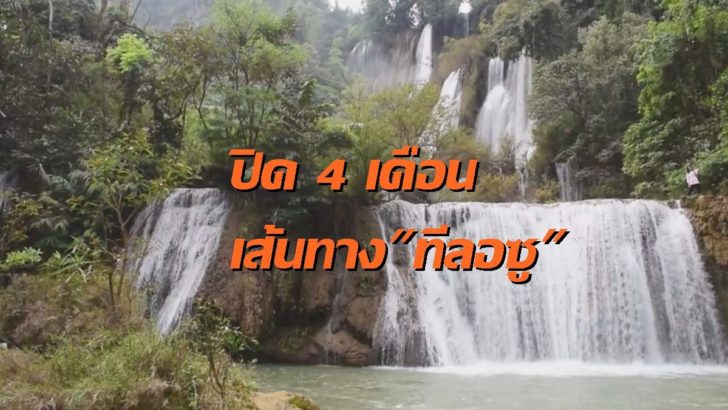 ทีลอซู