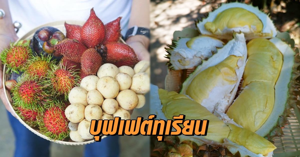 บุฟเฟต์ทุเรียน