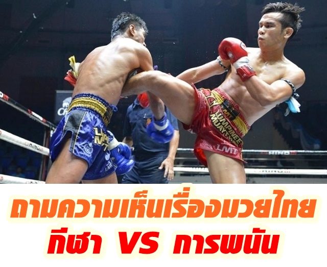 ปก