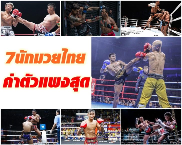 ปก