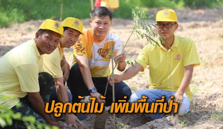 ปลูกป่า