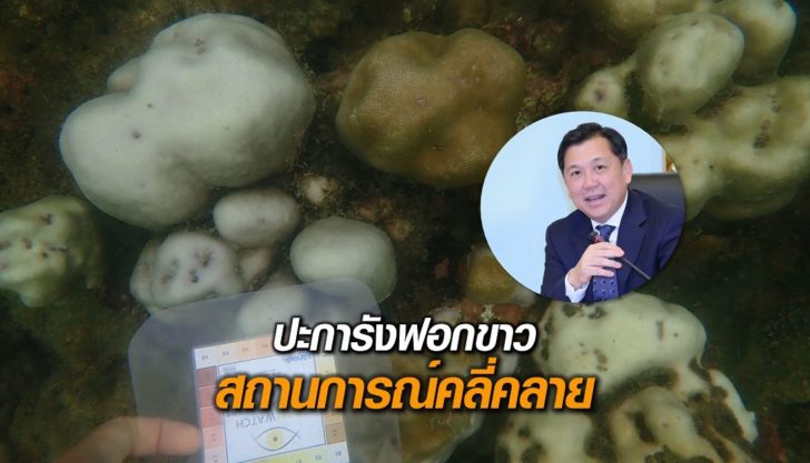 ปะการังฟอกขาว