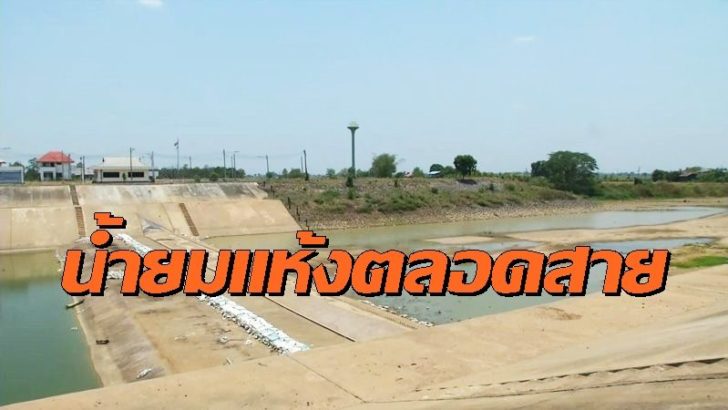 พิจิตรแล้ง