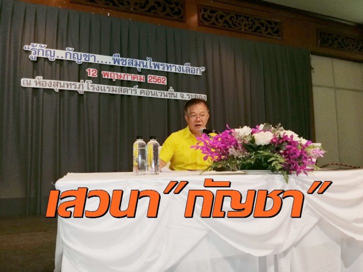 ระยอง กัญชา