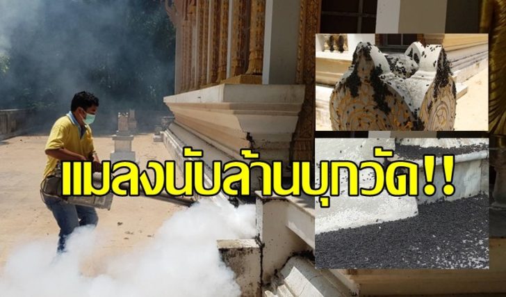 วัด00