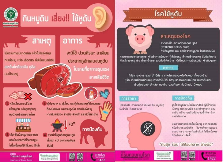 ไข้หูดับ4