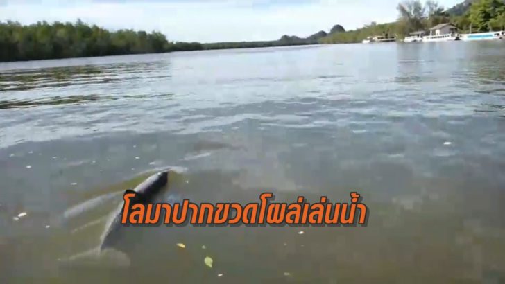 111040_Rv3AofA