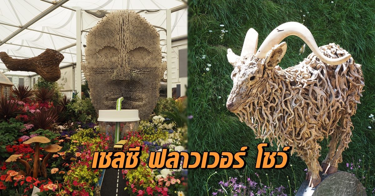 เชลซี ฟลาวเวอร์ โชว์