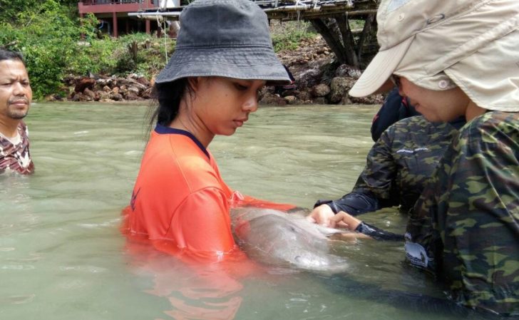 เจ้าหน้าที่ดูแล มาเรียม