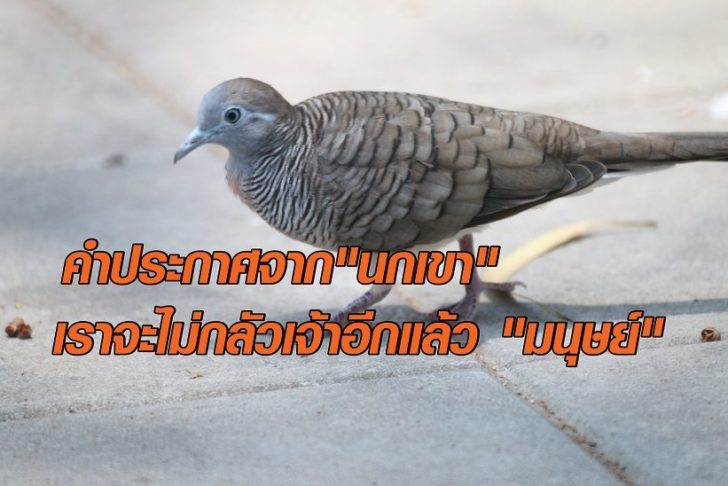 กรุ้กกรู้2