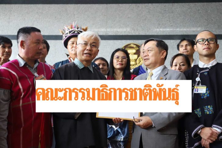 กลุ่มชาติพันธุ์1-26
