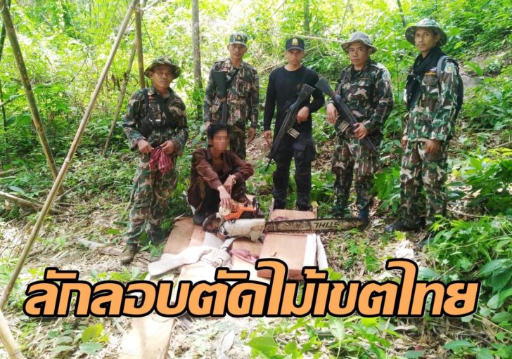 ขนไม้2ใช้