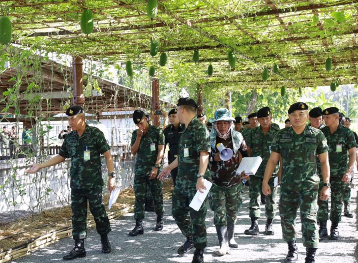 ทหาร3