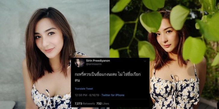 ปกชิปปี้01