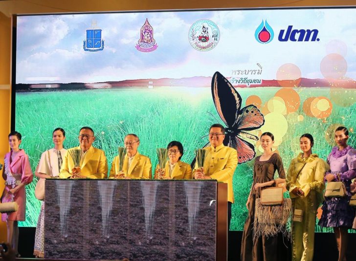 ปตท.ร่วมมูลนิธิชัยพัฒนา รณรงค์การใช้หญ้าแฝก