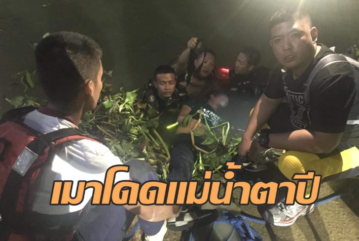 เมา1ใช้