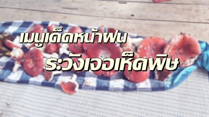 เห็ด