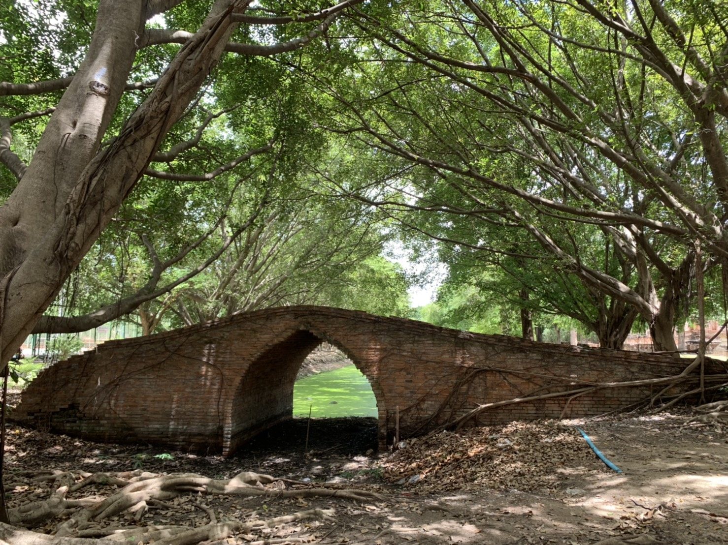 สถานที่ลับอยุธยา