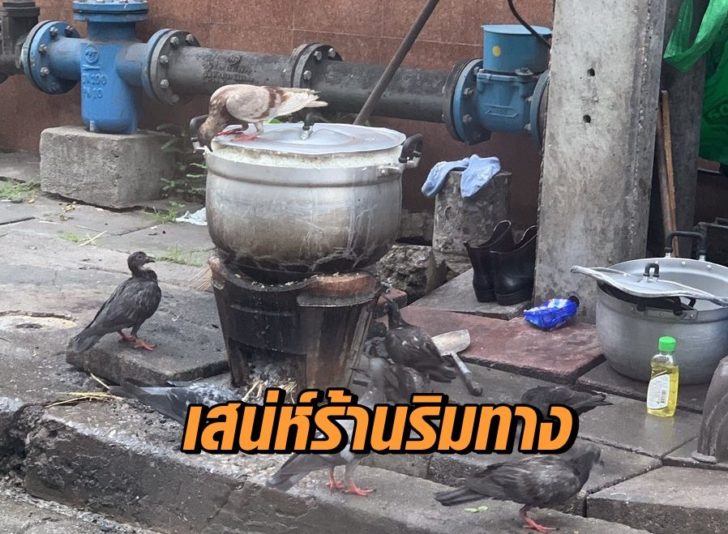 D-q-M1vU4AA0aHw