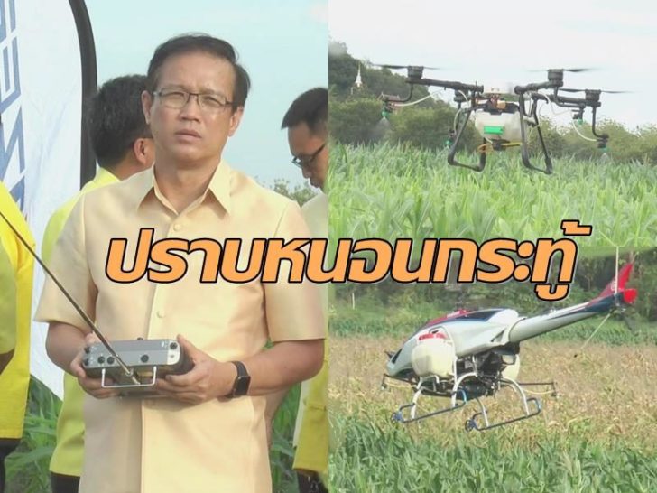 ปราบหนอนใช้ๆๆ