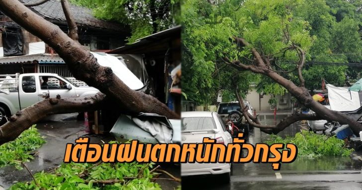 ฝนตก
