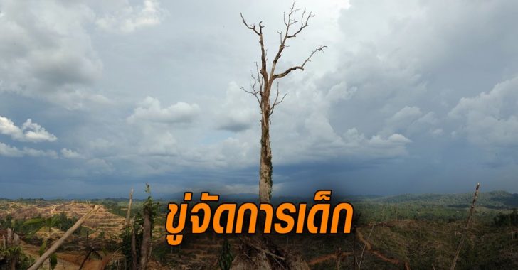 มาเลเซียขู่จัดการเด็ก