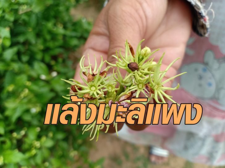 1.2