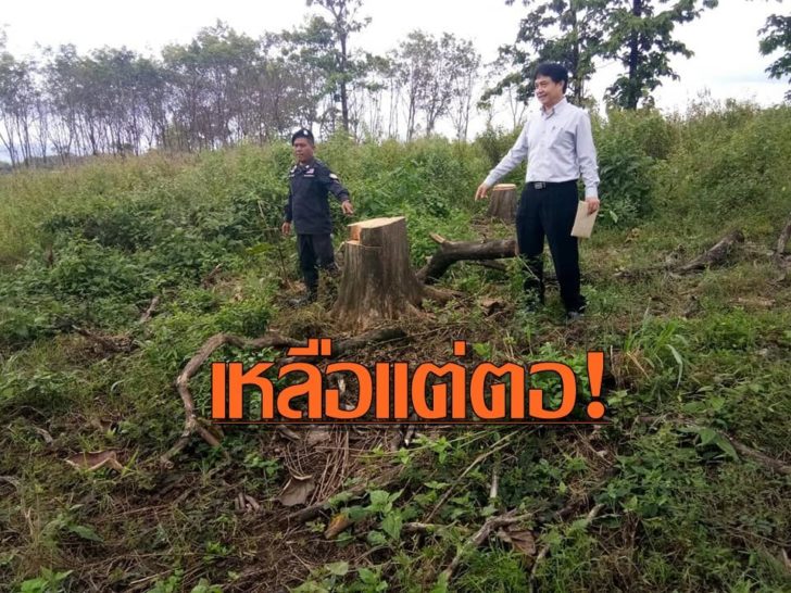 ธนารักษ์
